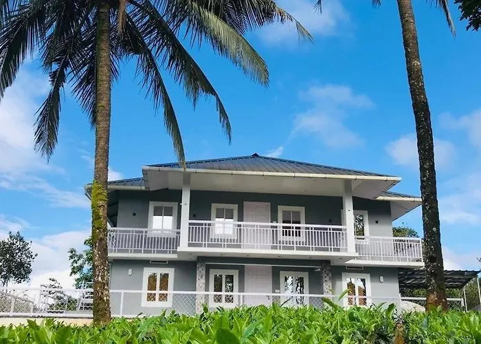 Cat Homes Vagamon